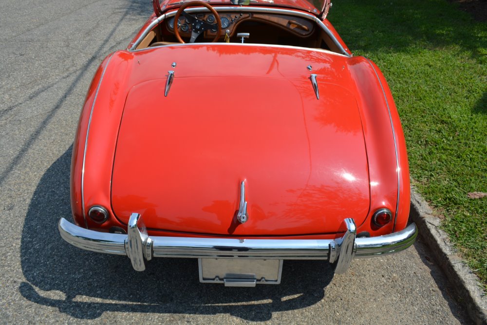 Used 1954 Austin Healey 100-4  | Astoria, NY